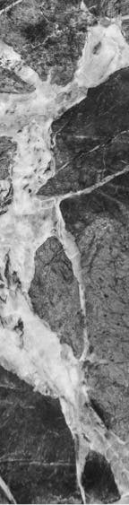 Half Image texture