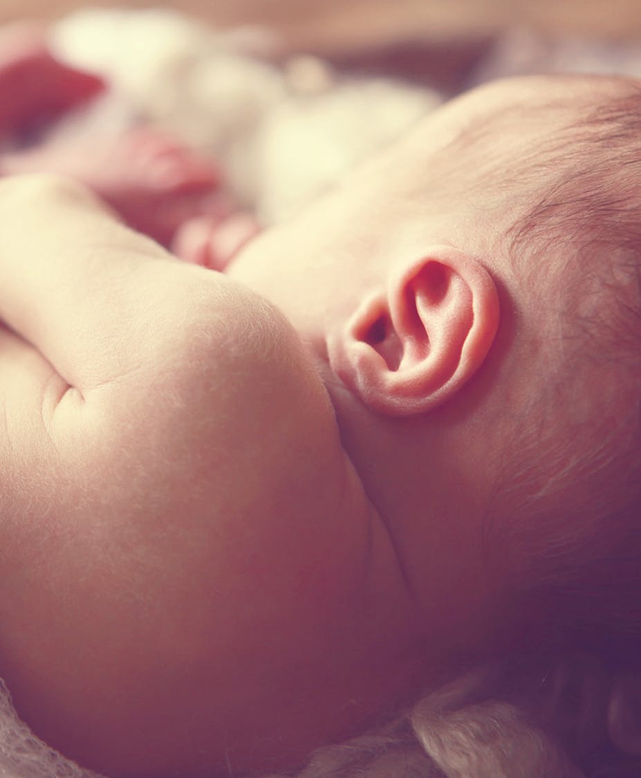 the back of a baby