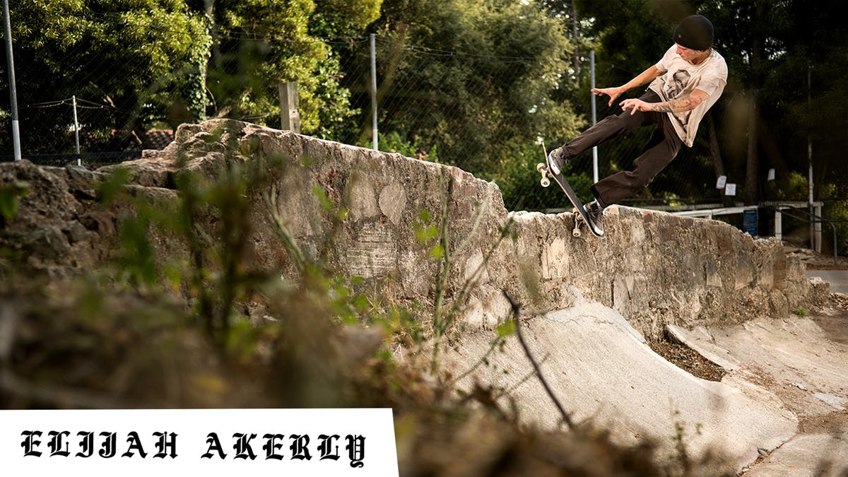 Vagrant Skateboards Spring 2019 catalog