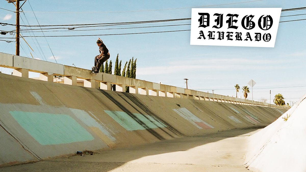 Vagrant Skateboards Spring 2019 catalog