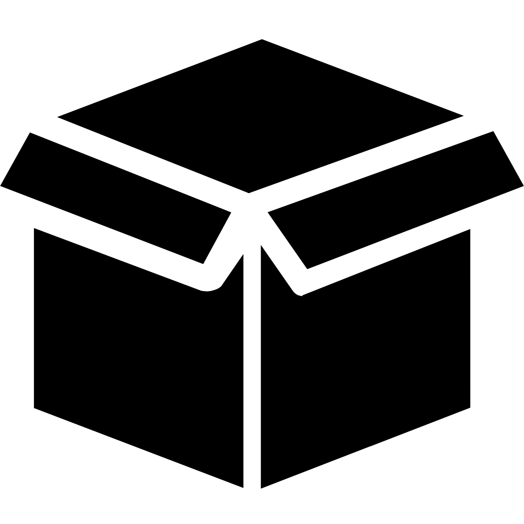 Black box pentest