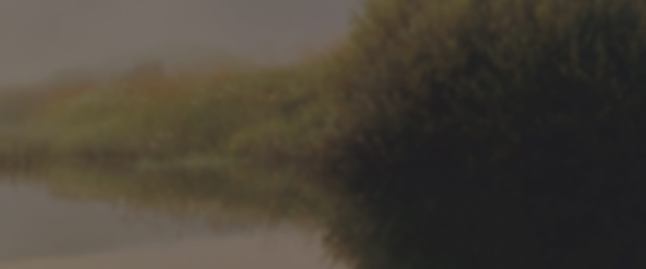 Banner media