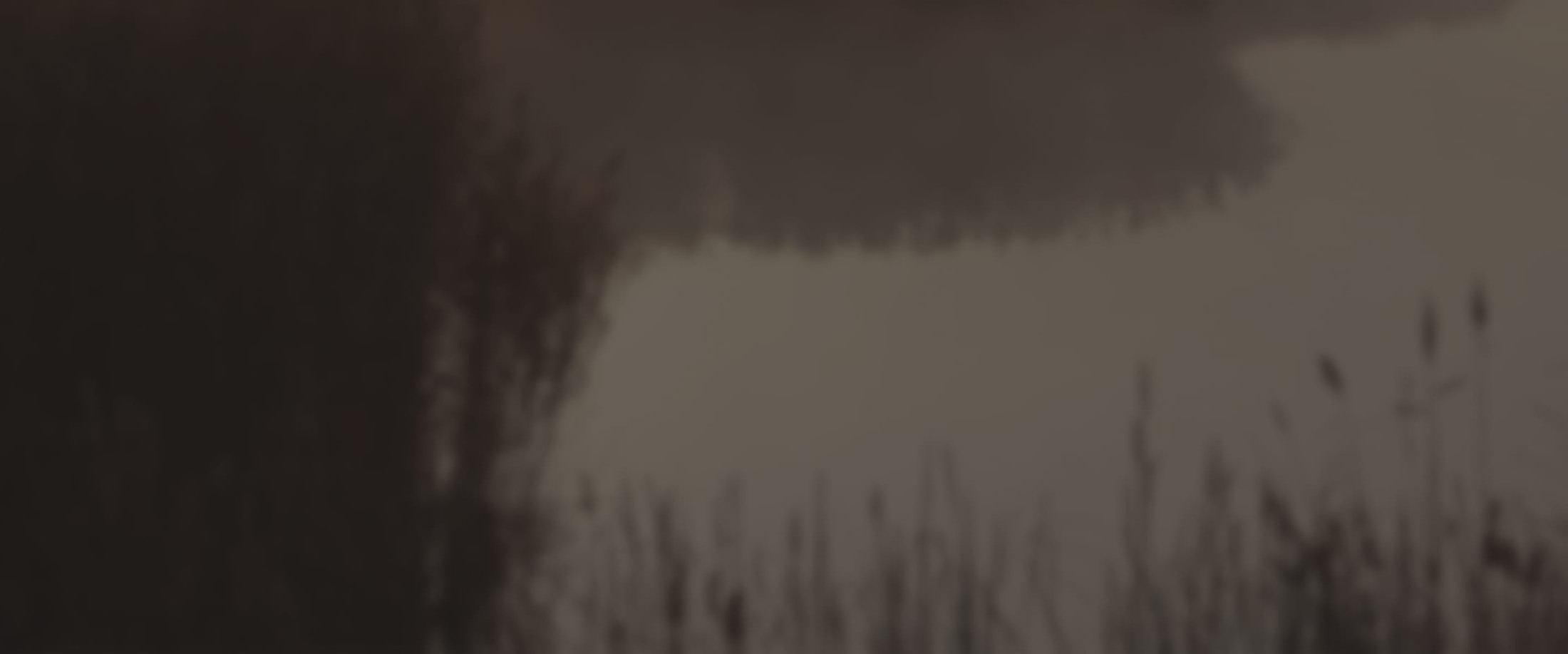 Banner media