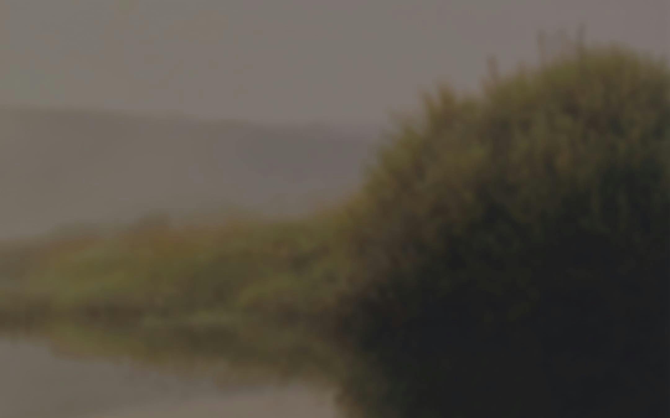 hill and pond