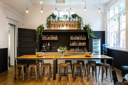 fevertree-73