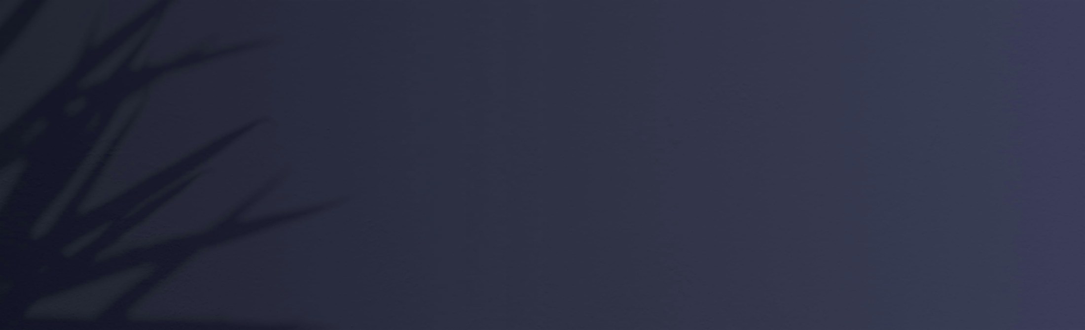 Banner media