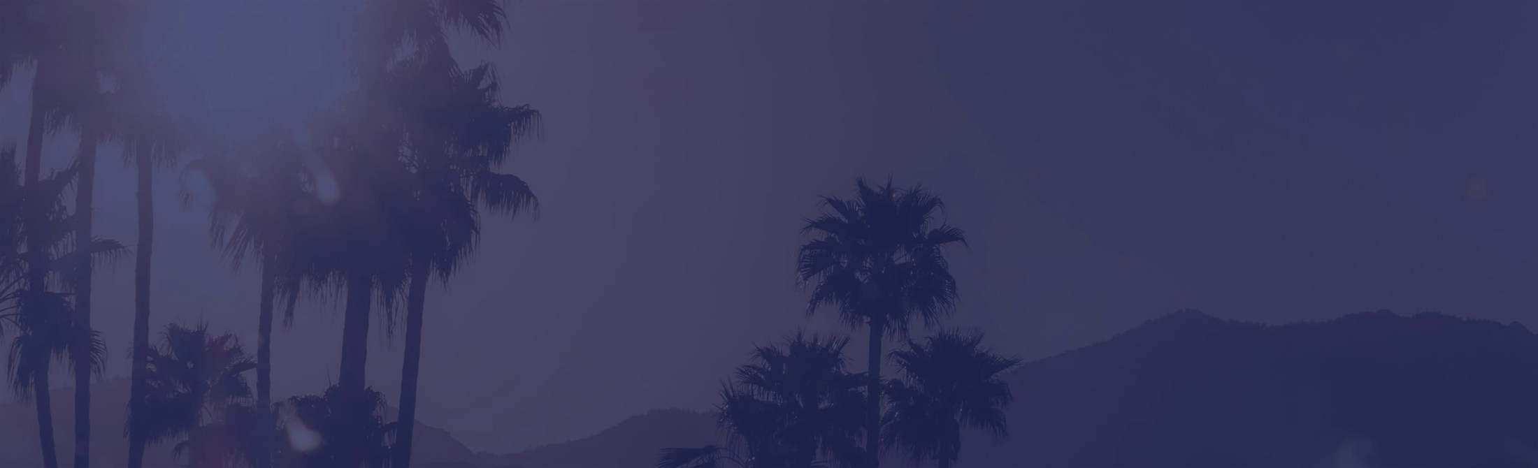 Banner media