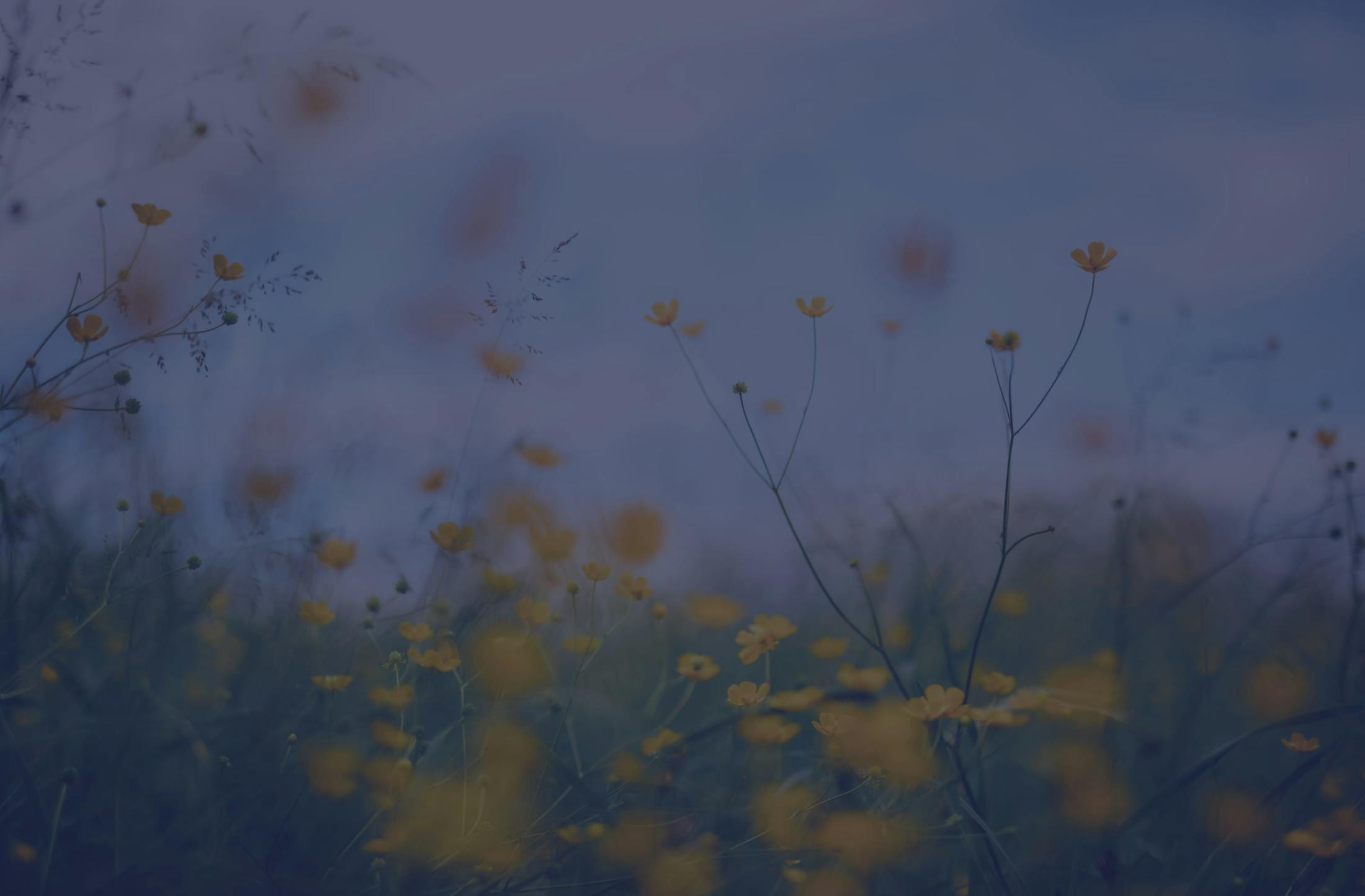 Background media