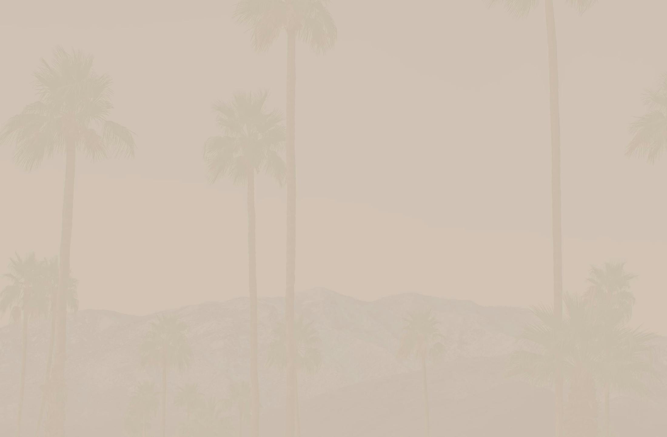 Background media