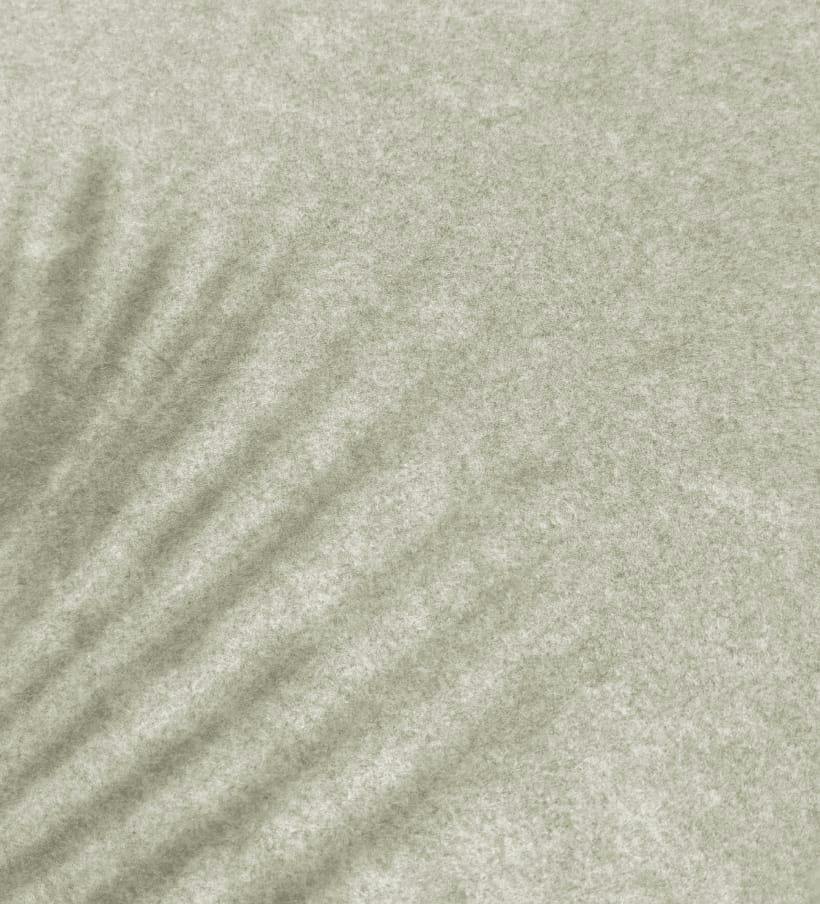 palm frond shadow