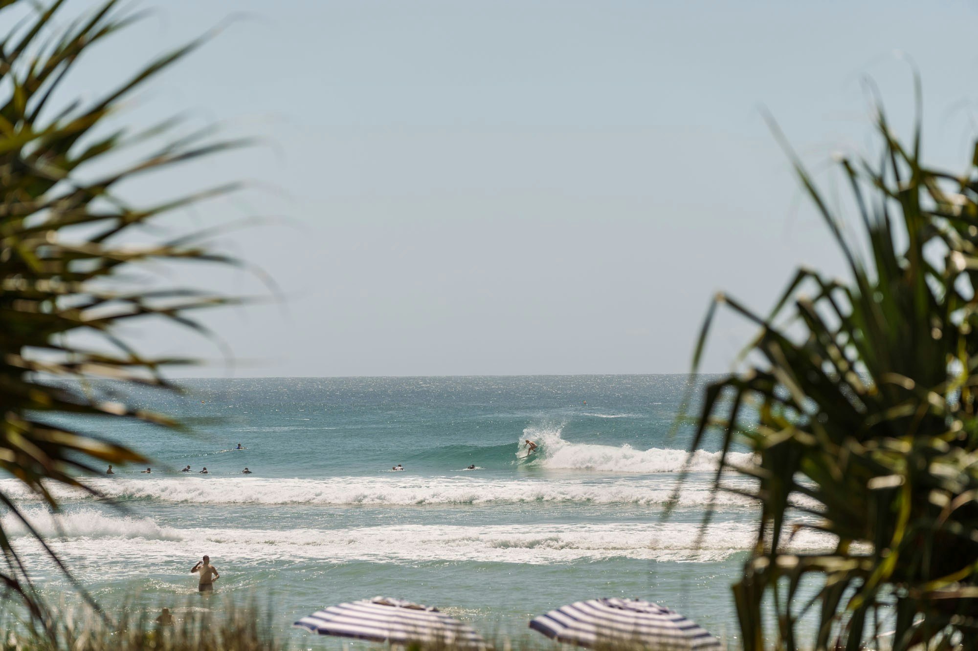 Surf