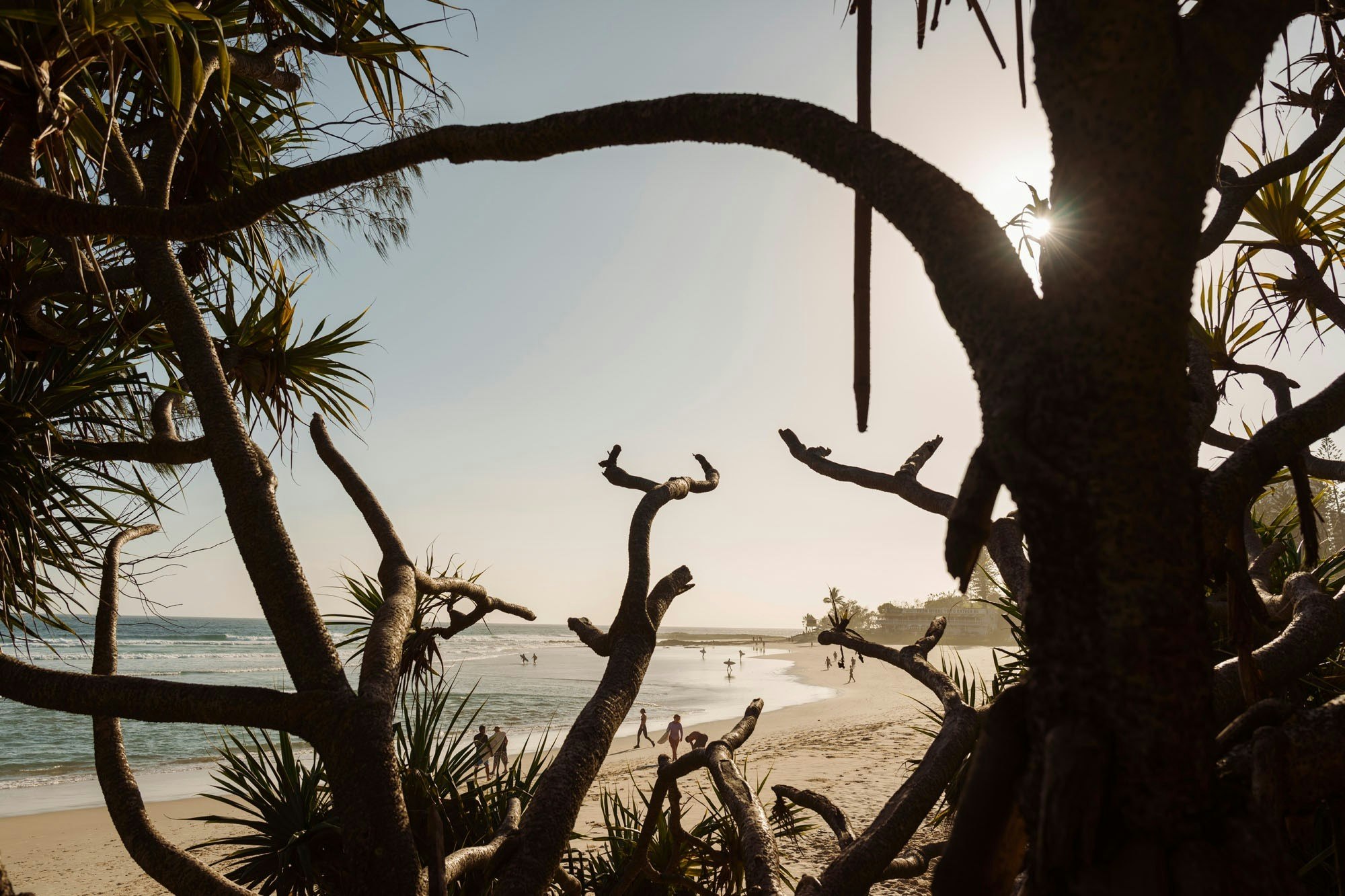 Snapper Rocks