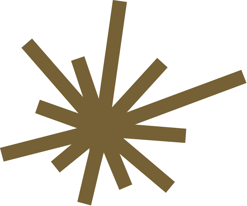 <p>pesquisadores</p>