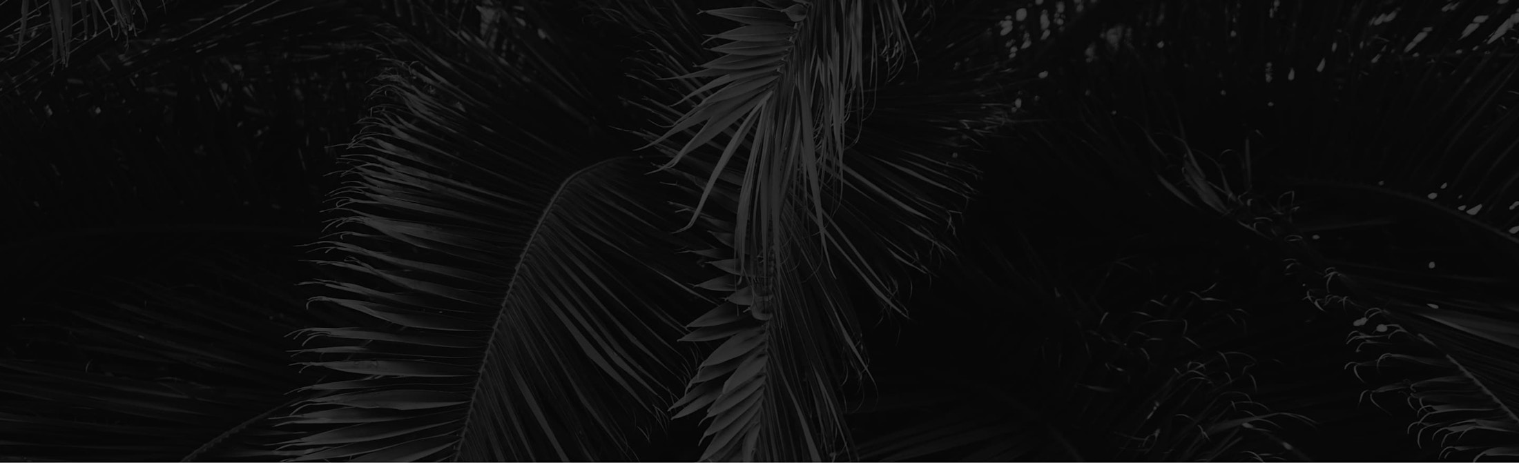 Banner media