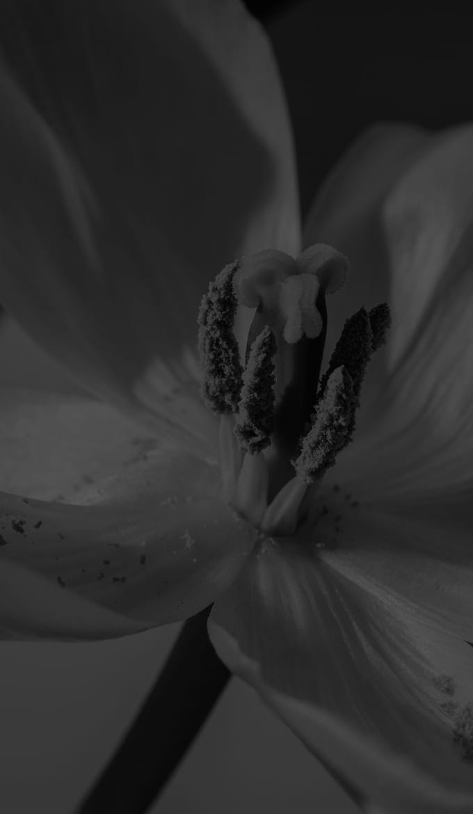 flower accent