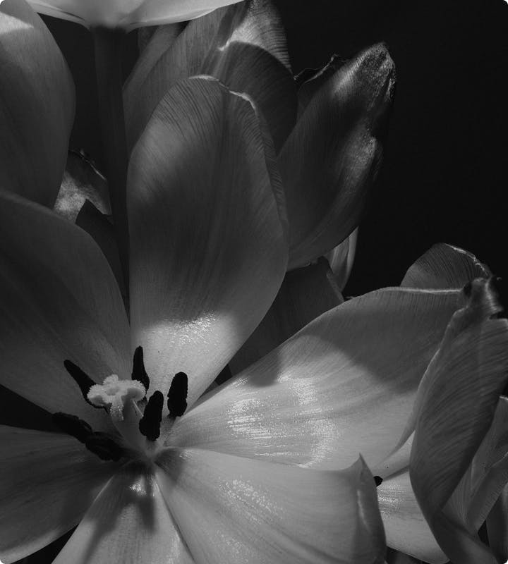 flower accent