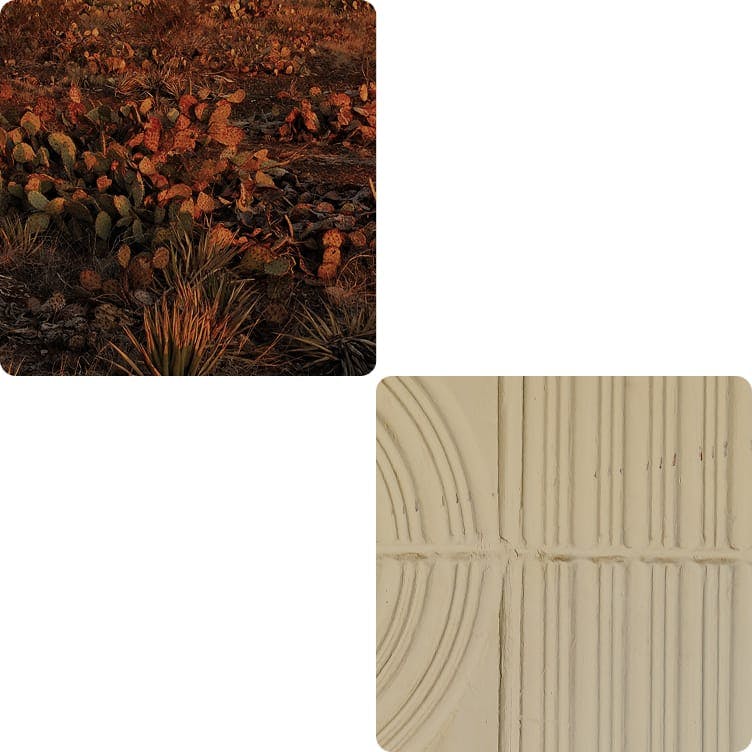 first image: cactus, second image: abstract art
