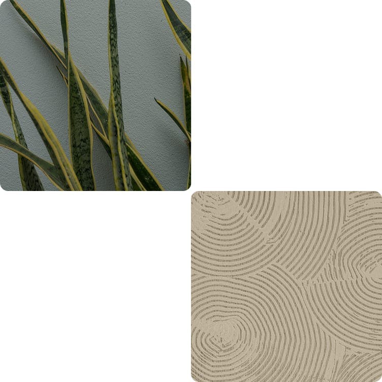 first image: snake plant, second image: abstract art
