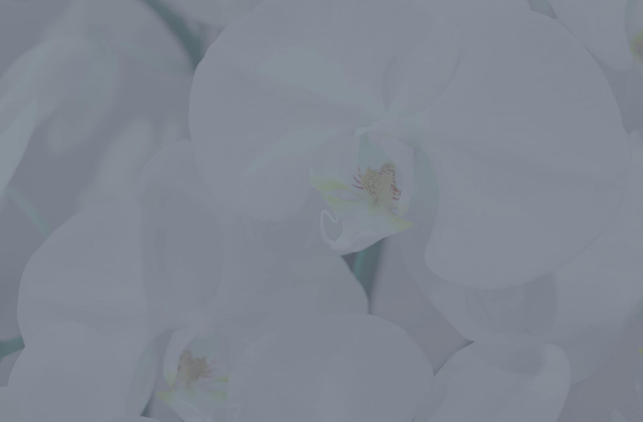 Background media
