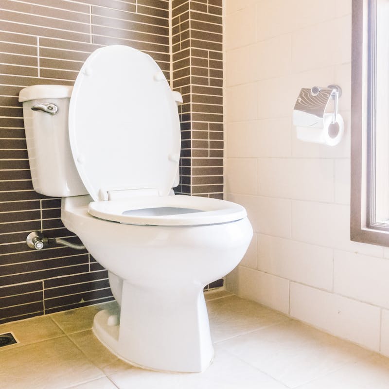 toilet