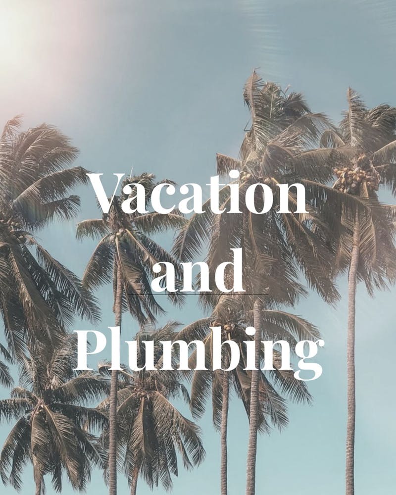 palm trees graphic