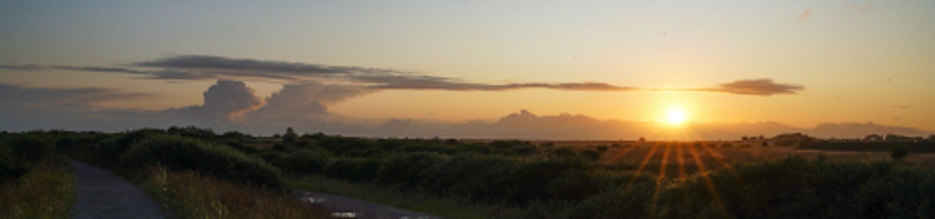 Pebble the dog looking toward the setting sun in the nature reserve of RSPB Medmerry