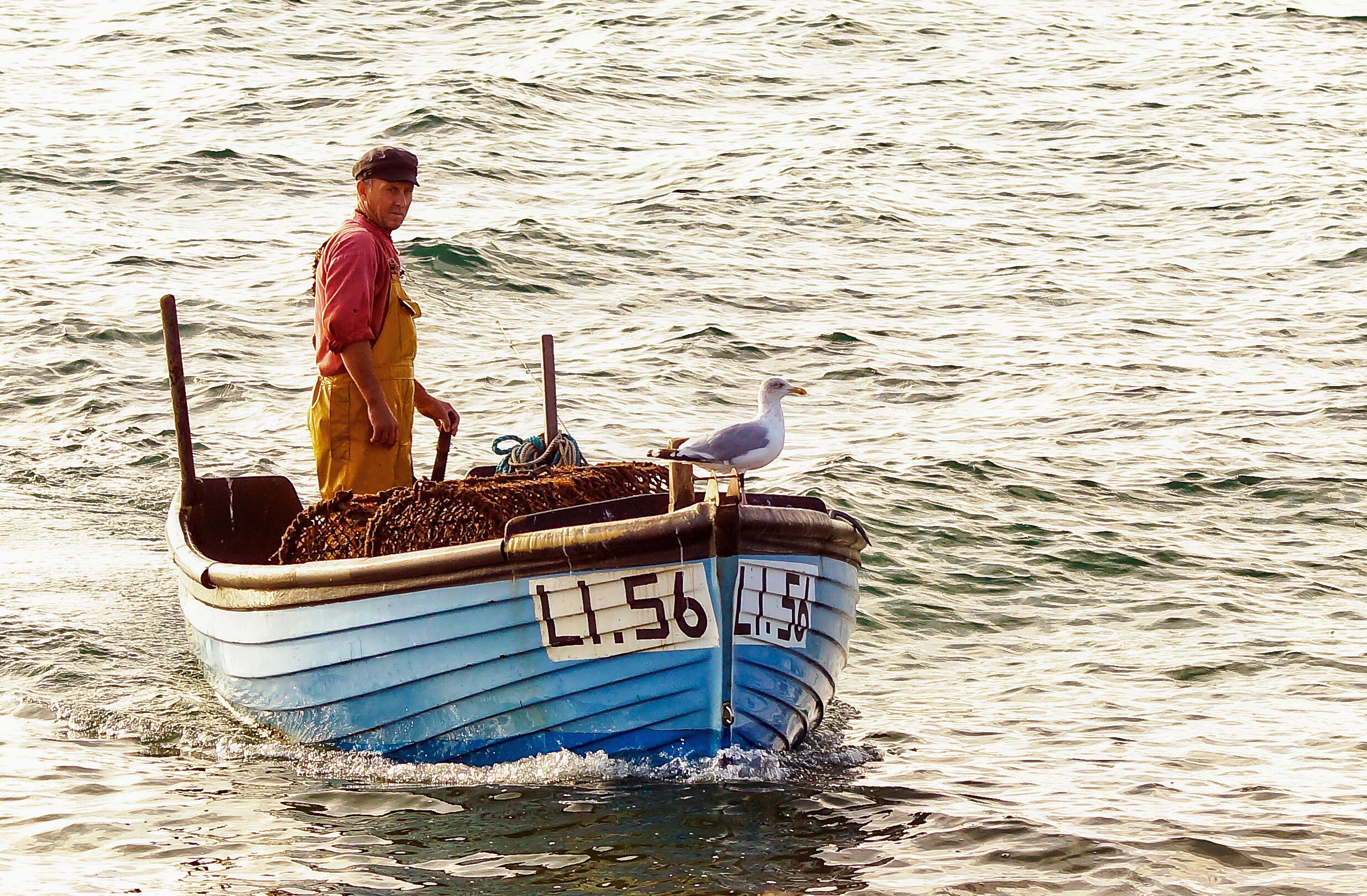 Gem and his Seagull at Selsey, courtesy of CoastalJJ