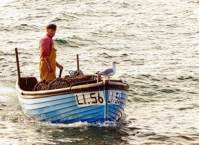 Gem and his Seagull at Selsey, courtesy of CoastalJJ Gem and his Seagull at Selsey, courtesy of CoastalJJ