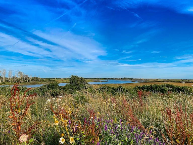 RSPB Medmerry photograph shot in the Summer capturing the wild flowers and the encroaching sea in the background