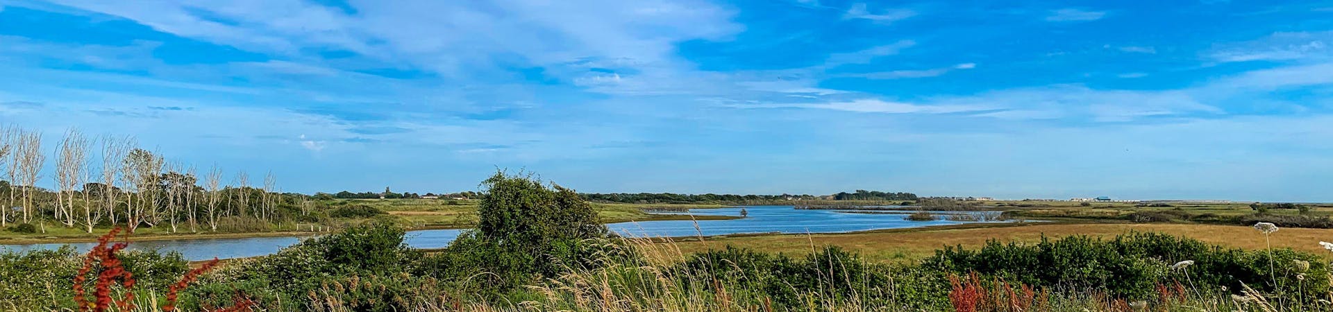 RSPB Medmerry photograph shot in the Summer capturing the wild flowers and the encroaching sea in the background