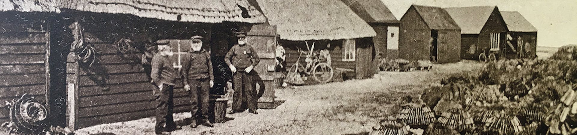 Three bearded Selsey Fishermen, outside their thatched fishing huts selling their produce.