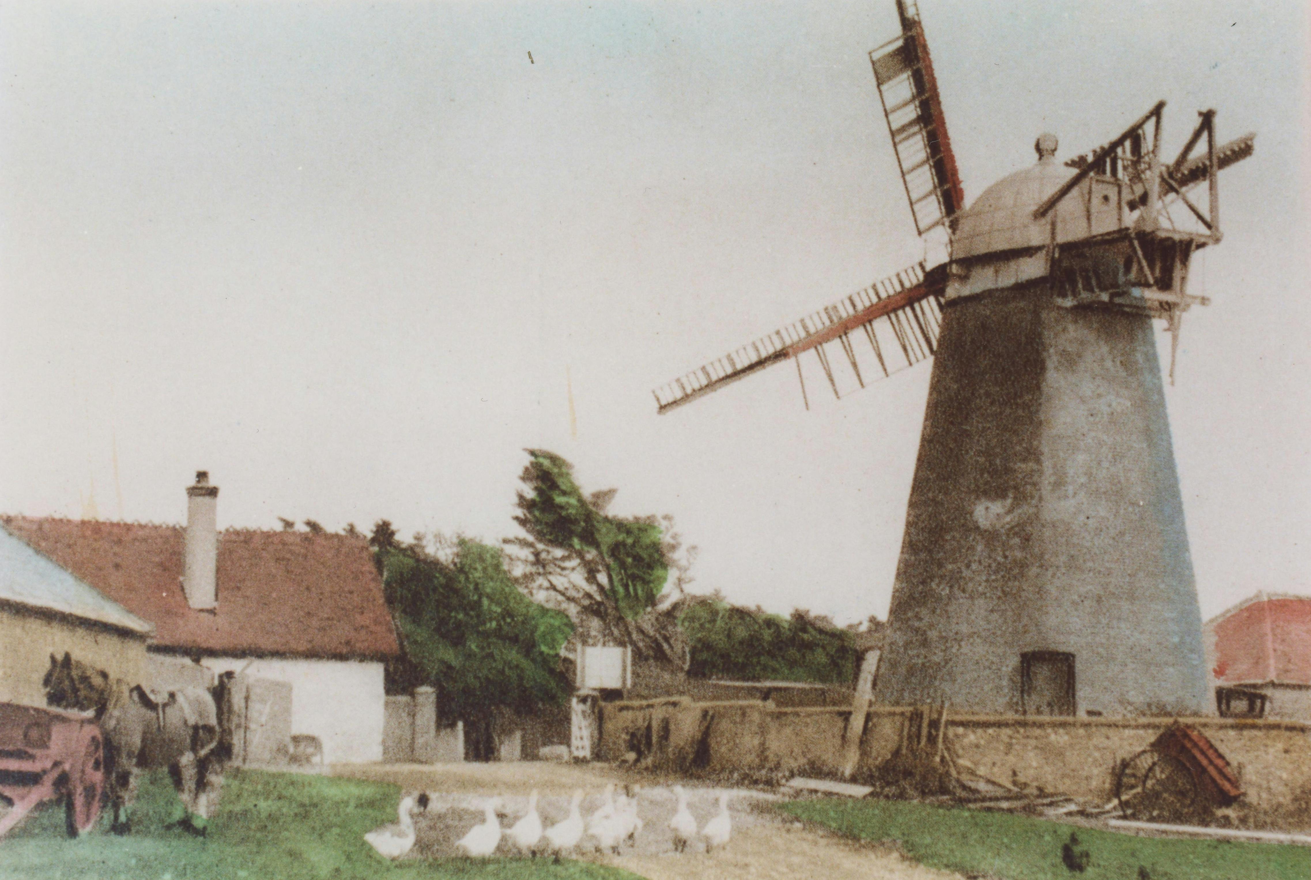 Medmerry Mill at the turn of the 20th Century coloured image with geece and horse