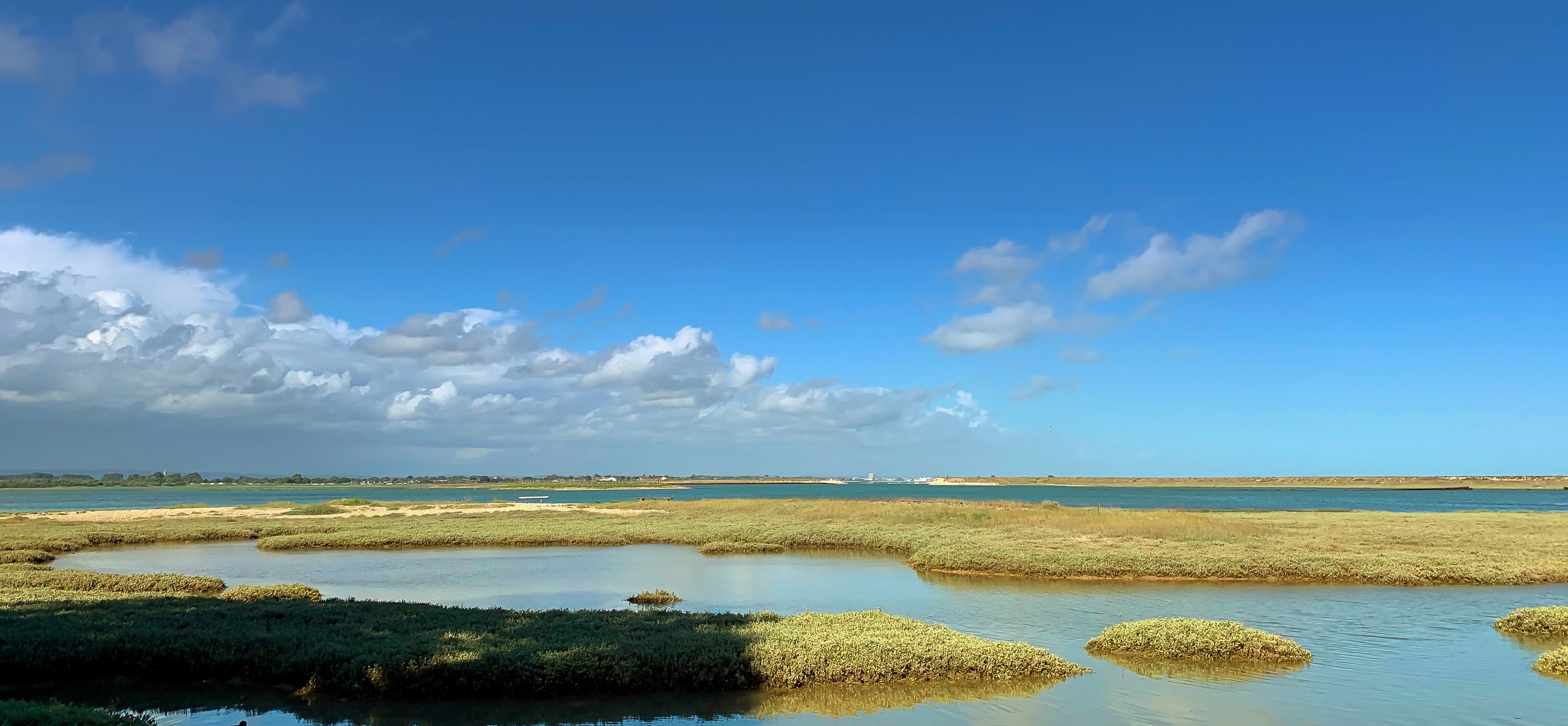 Grassed islands for birds to roost 