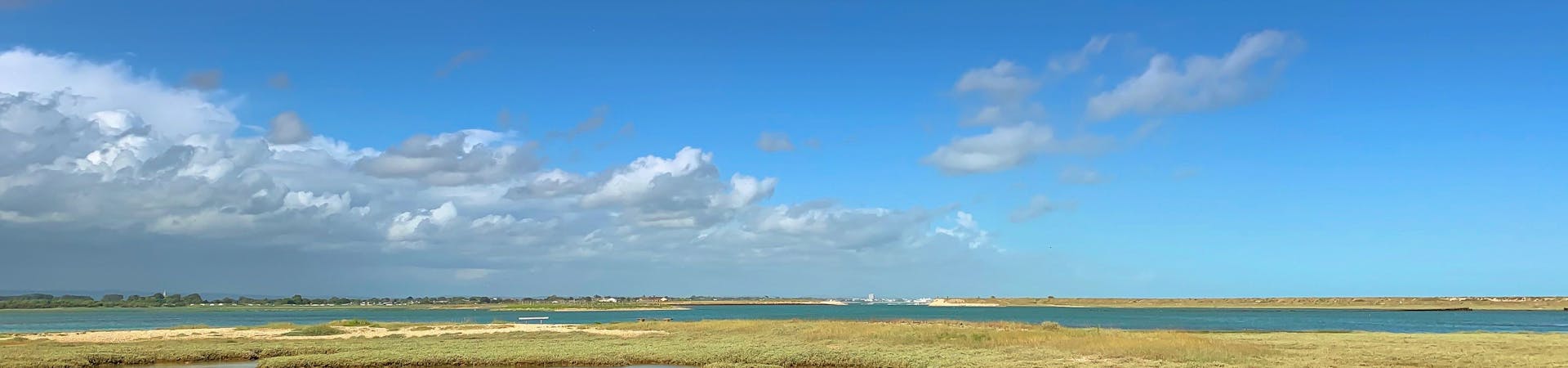 Grassed islands for birds to roost