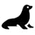 Wildlife Seal Wildlife Seal Icon