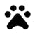 Dog Friendly Icon