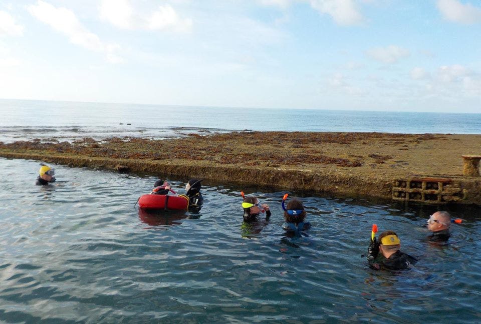 A group of 7, snorkelling and exploring the inner mulberry harbour