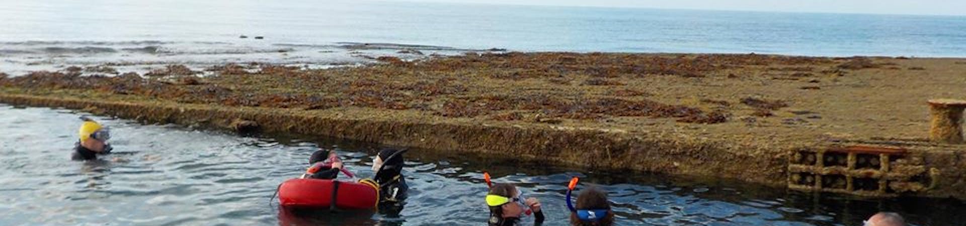 A group of 7, snorkelling and exploring the inner mulberry harbour