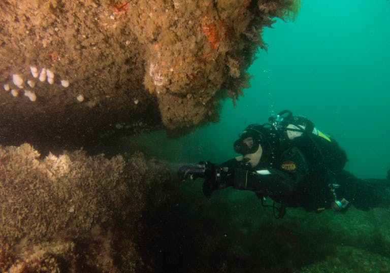 A Glimpse off what lies off the coast at Selsey