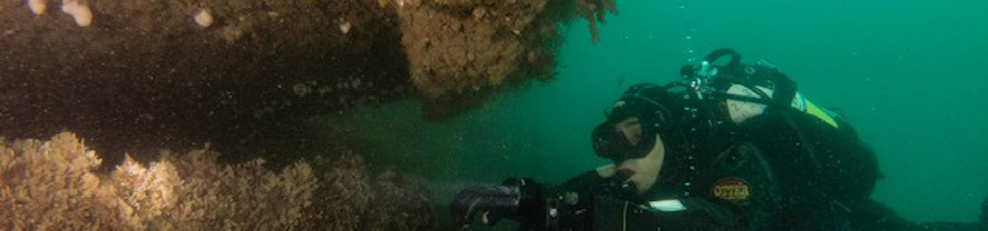 A Glimpse off what lies off the coast at Selsey