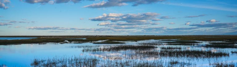 Water reflecting skies at Pagham Harbour