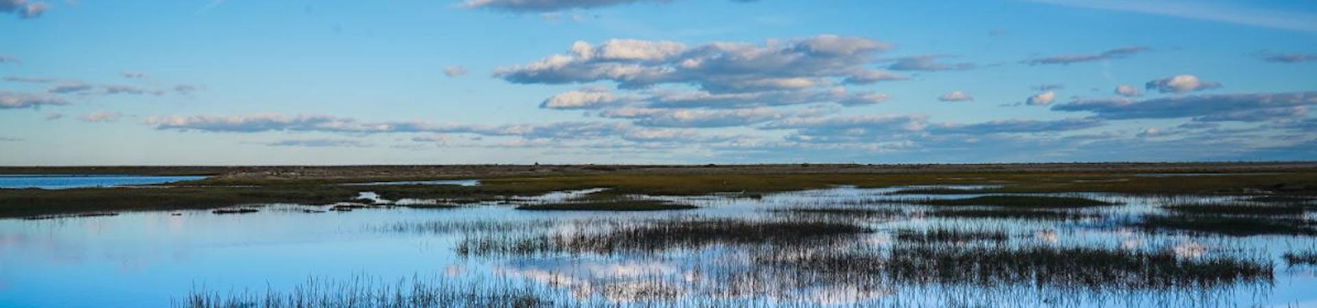 Water reflecting skies at Pagham Harbour