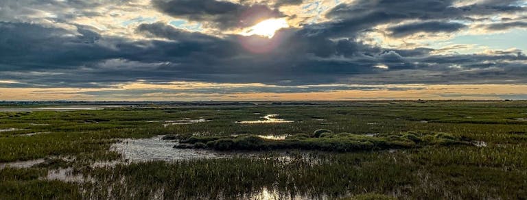 Pagham Harbour at Church Norton