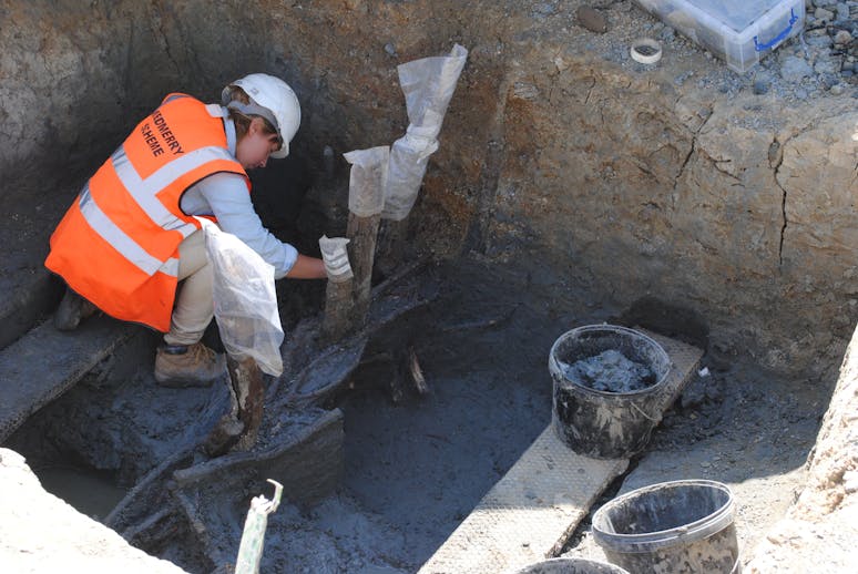 Excavation of Fish Traps, Medmerry Archaeologist investigating medieval fish traps at Medmerry