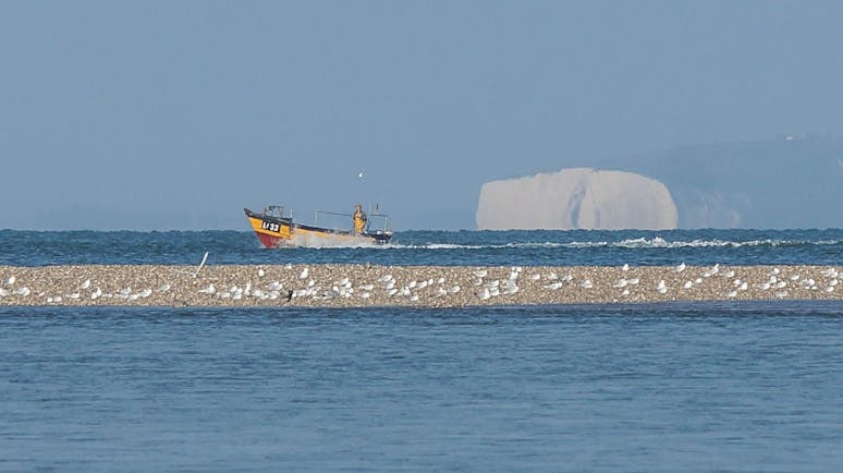 Seagulls Resting on The Mixon image of the isle of wight in the background, a fishing boat and in the foreground the Mixon with gulls resting on it
