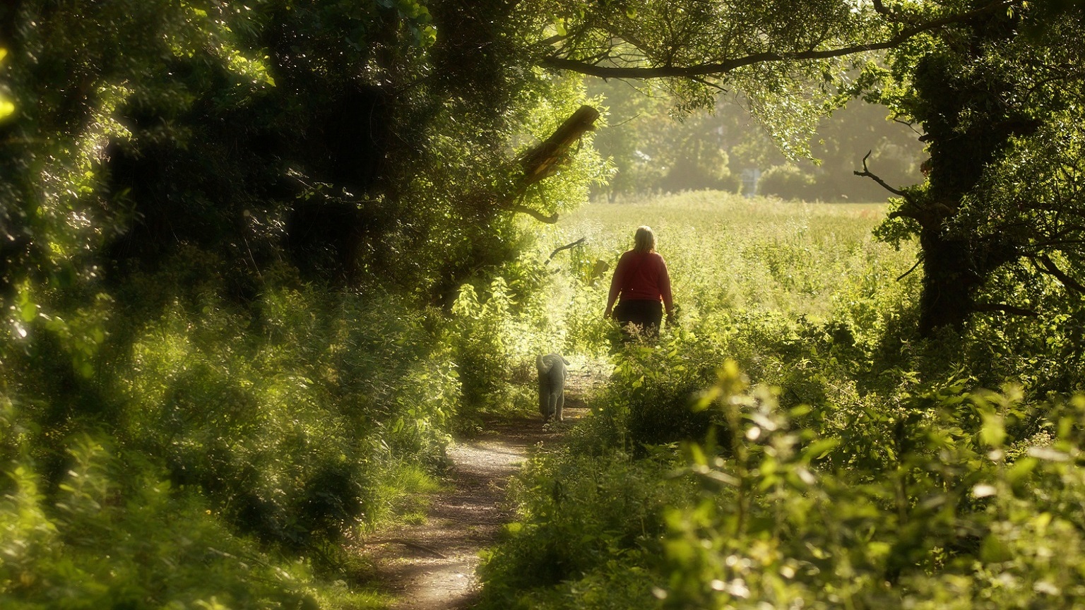 Walking along a pathway of greens and dappled sunshine at Church Norton 