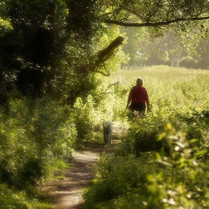 Walking along a pathway of greens and dappled sunshine at Church Norton