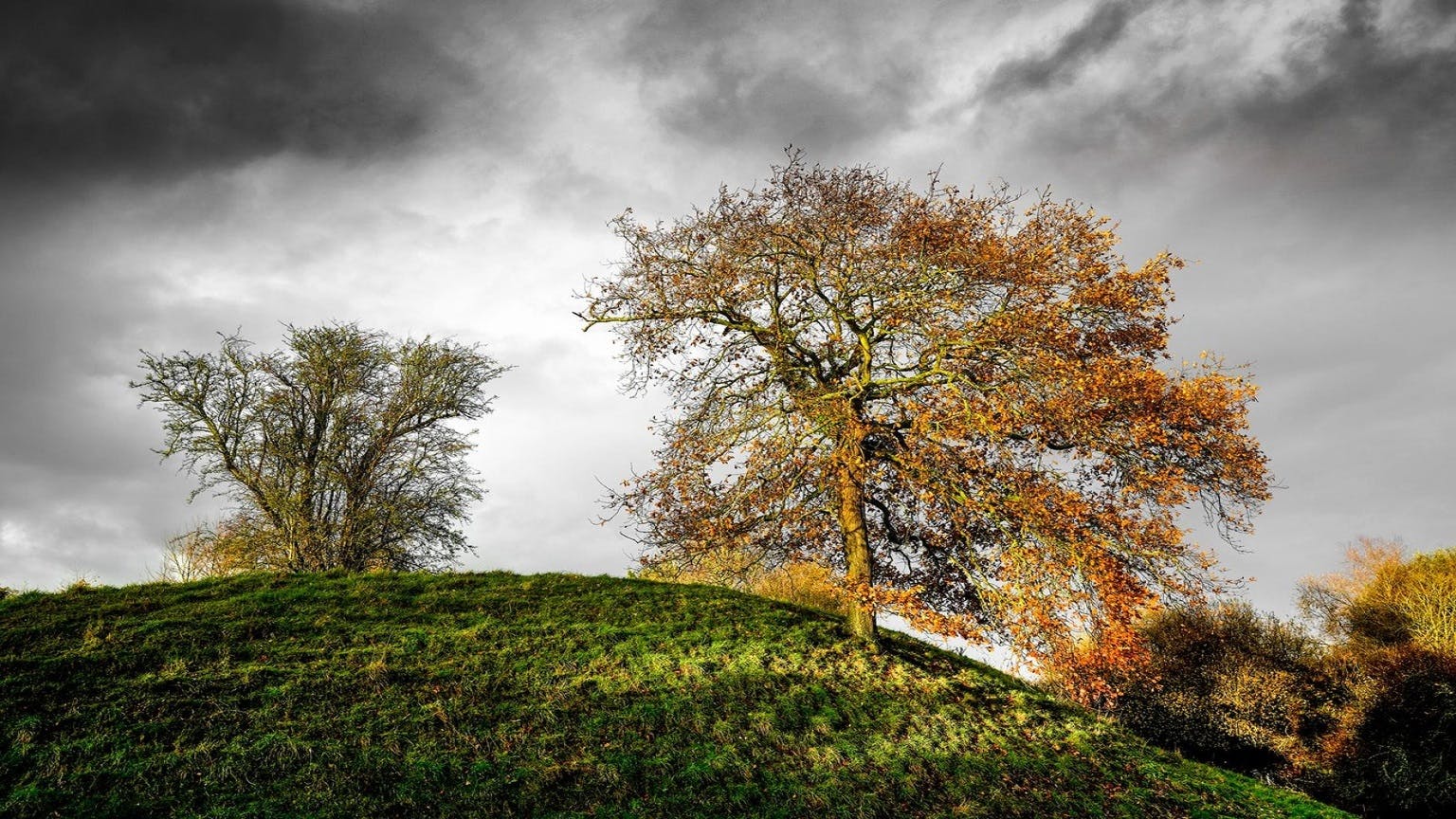 Winter trees set against a grey sky, balanced on the remains of the Norman Fort at Church Norton 