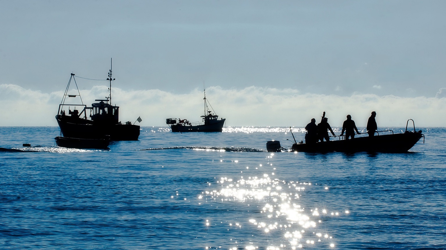 Four fishermen heading back to shore after a nights fishing 