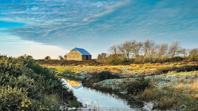 Medmerry Barn set in the background surounded with water, gorse flowers and wintry sky